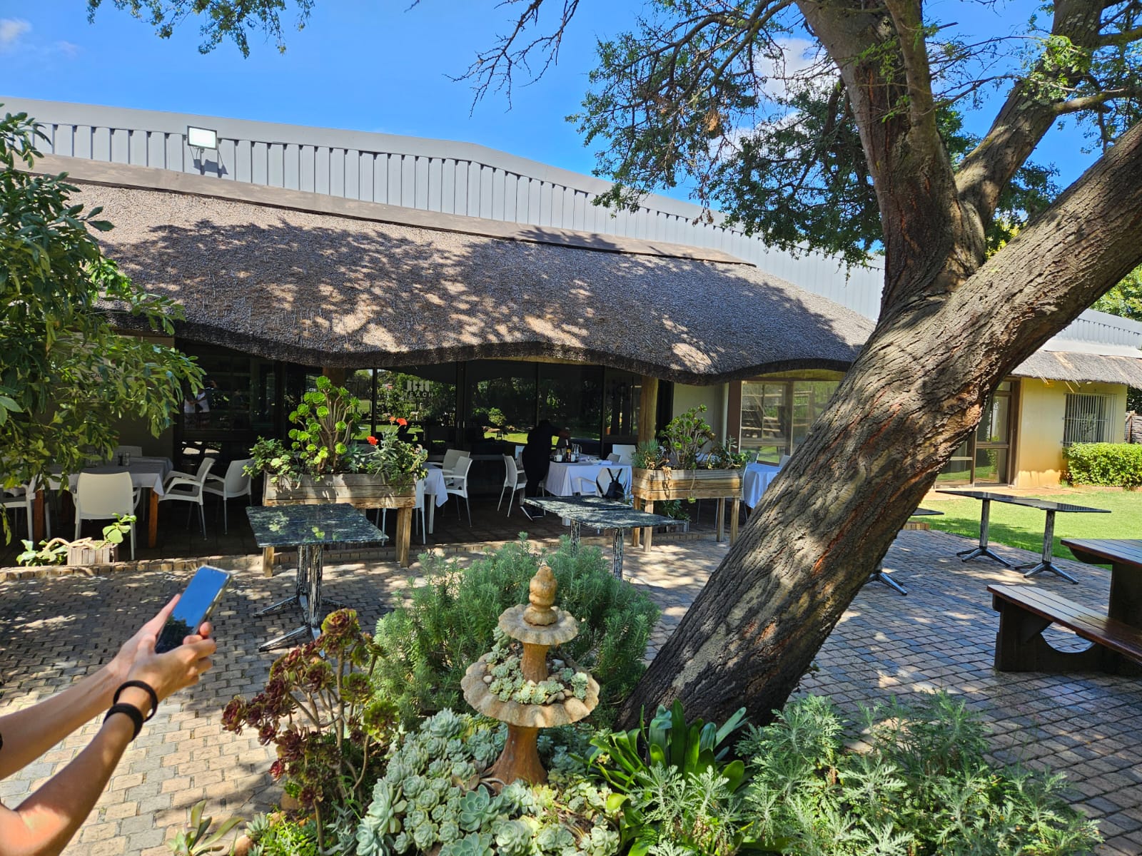 Reach Cafe